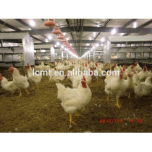 ingénieur disponible sur le contrôle du poulet ferme élevage de matériel pour l&#39;aviculture et la remise